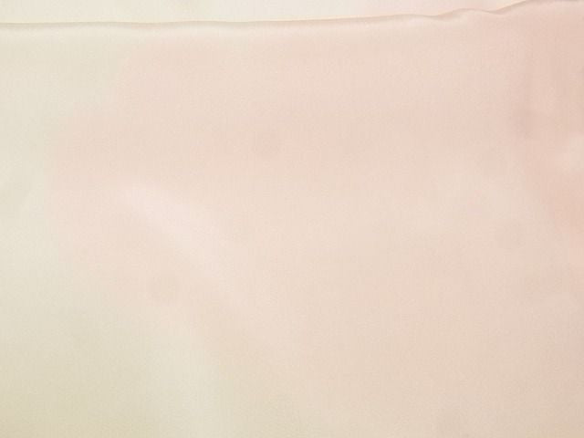 平和屋着物■長襦袢 袷 雲 暈し染め 正絹 逸品 AAAH2742Ata