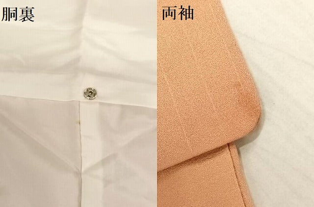平和屋着物●訪問着 手描き 刺繍 草木文 暈し染め 正絹 逸品 AAAM6818ph