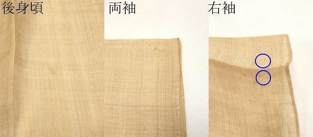 平和屋本店■極上 夏物 芭蕉布 手積み芭蕉糸100% 飴色 逸品 CYAA1269s5