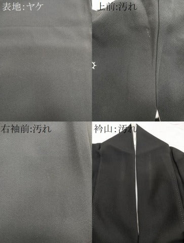 平和屋着物■豪華黒留袖 駒刺繍 飛鶴浜松文 金彩 正絹 逸品 CAAY3814xi