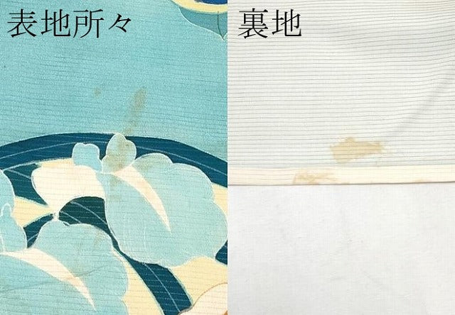 平和屋本店*極上 夏物 アンティーク 大正ロマン 振袖 駒刺繍 絽縮緬 雲取り花丸文 白群色地 逸品 CYAA4300s6