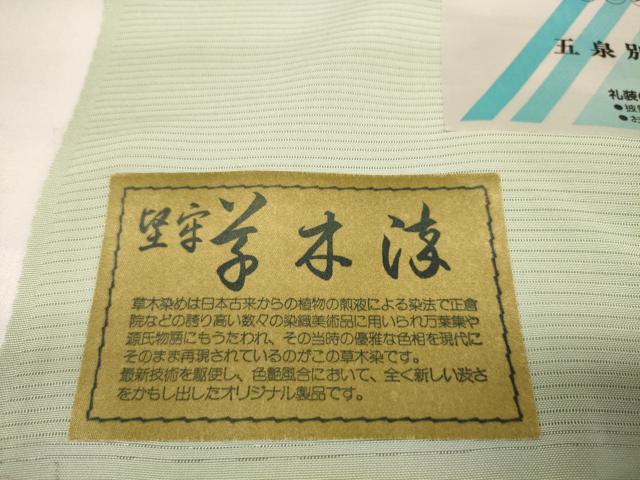 平和屋着物*夏物 色無地 反物 着尺 駒絽 五泉 堅牢草木染 夏虫色 西武百貨店扱い 逸品 未使用 DABA7729zzz