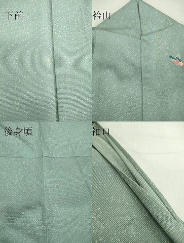 平和屋着物*夏物 訪問着 絽 舞蝶文 正絹 逸品 DABA4458az