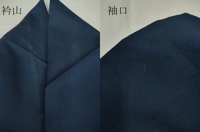 平和屋着物*夏物 色無地 縦絽 舞花紋紗 紺色 正絹 逸品 DABA4451az