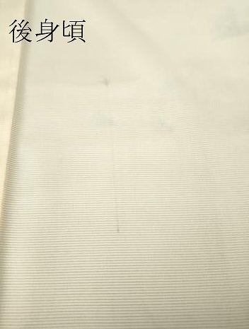 平和屋着物*夏物 訪問着 絽 舞蝶文 銀彩 洗える着物 DABA4488az