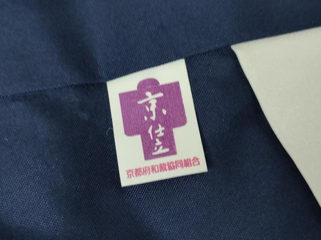 平和屋着物●上質な紬 色無地 留紺色 正絹 逸品 DABA4564az