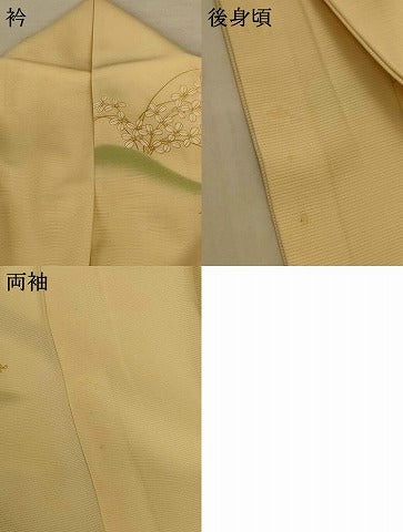 平和屋着物*夏物 訪問着 絽 駒刺繍 草花文 金彩 正絹 逸品 AABF5111jd
