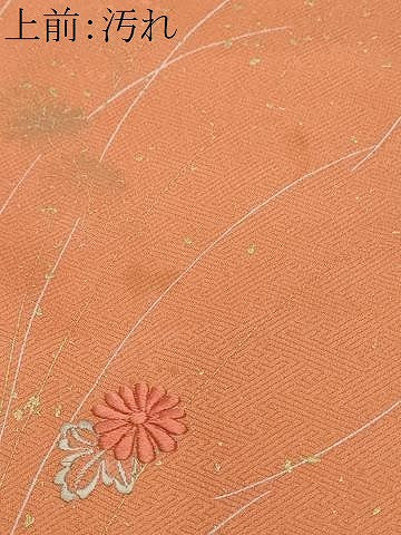 平和屋着物■訪問着 刺繍 枝花文 金彩 正絹 逸品 CABD3833ev