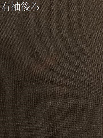 平和屋着物∞男性 羽織 憲法色 正絹 逸品 CABD4673ua