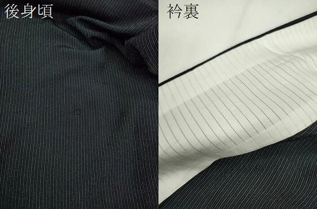 平和屋着物*夏物 夏お召 縞 正絹 逸品 CABG2248ze