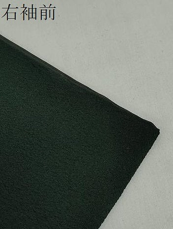 平和屋着物●洗える最高級着物 <英>はなぶさ謹製 色無地 鉄色 洗える着物 DABG2179ud