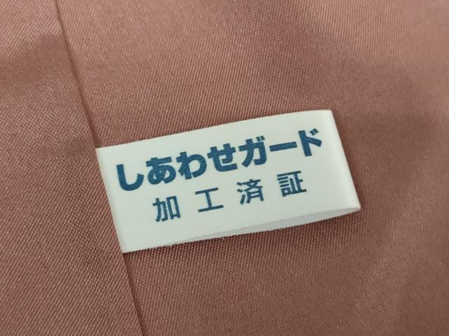 平和屋着物●ぜんまい紬 色留訪問着 霞市松文様 正絹 逸品 DABG8257ps
