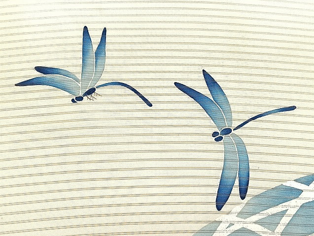 平和屋着物■夏物 名古屋帯 絽 紗 まとめて 50点 尾長鳥 蜻蛉 絽綴れ 浪筬織 作家物 辻が花 暈し染め 駒刺繍 未使用品有 全て正絹 mmm1184