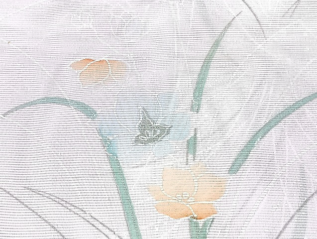 平和屋着物■夏物 小紋 絽 紗 洗える着物 まとめて20点 蝶 菖蒲 花柄 暈し染め 銀彩 着用可能多数 mmm1177