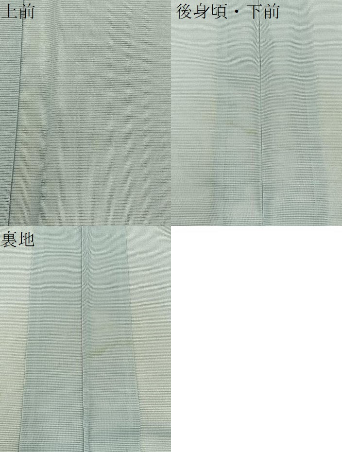 平和屋着物*夏物 訪問着 絽 枝垂れ柳 暈し染め 銀彩 洗える着物 BAAX6878hj