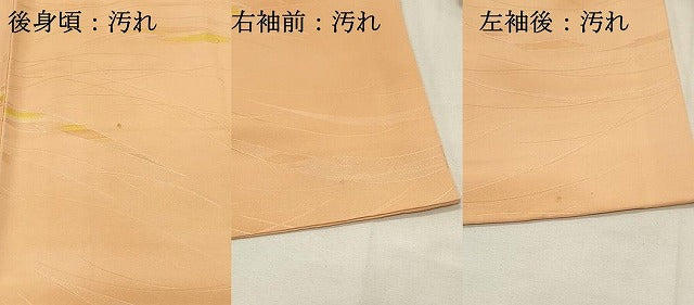 平和屋着物■上質な小紋 地紋起こし 芝文 暈し染め 正絹 逸品 DABH4085qp