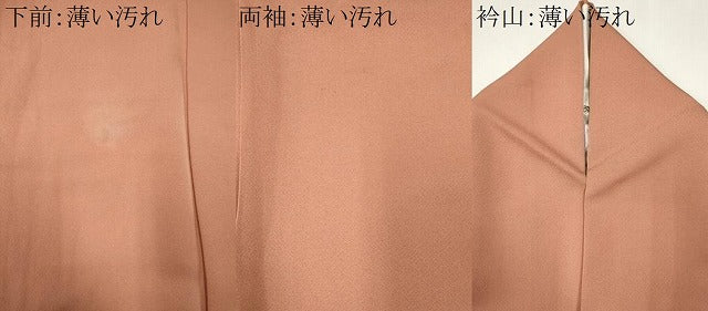 平和屋着物■豪華色留袖 風景文 正絹 逸品 CABK1046ou
