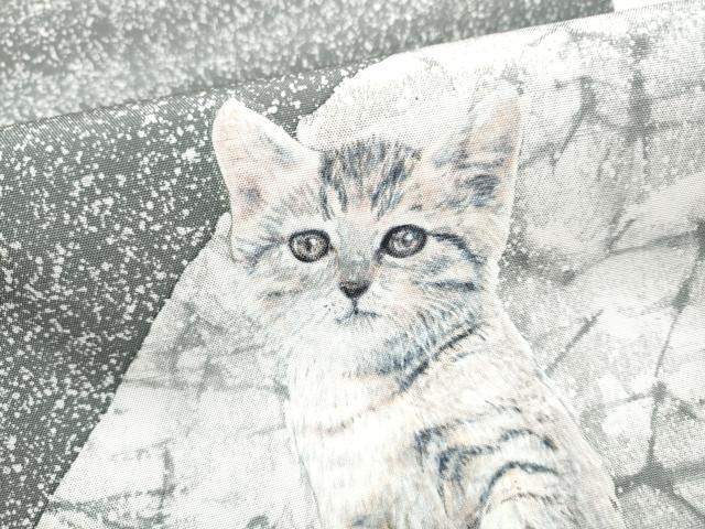 平和屋着物●太鼓柄袋帯 猫 正絹 逸品 CABL9884hy