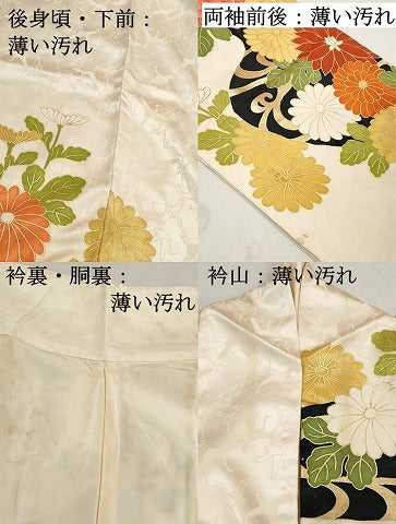 平和屋着物■豪華振袖 駒刺繍 草花文 菊 金彩 正絹 逸品 DABK3044qa