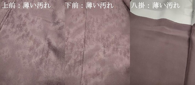 平和屋着物■上質な小紋 樹林地紋 暈し染め 正絹 逸品 DABK3067qa