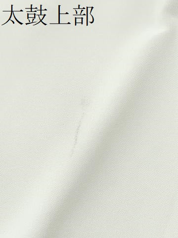 平和屋着物●九寸名古屋帯 手描き 魚 CABM6102hy