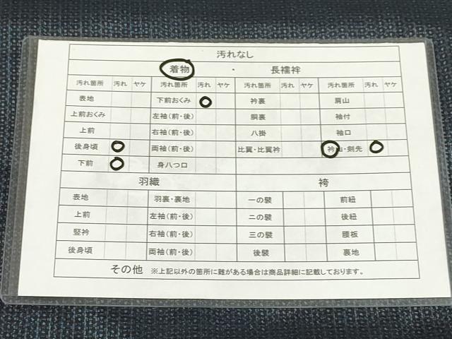平和屋着物■男性 亀甲文様 正絹 逸品 AAAN4818ck