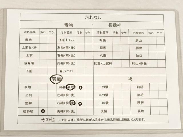 平和屋着物■道行コート 地紋起こし 枝草地紋 黄丹色 正絹 逸品 AAAN8833bw