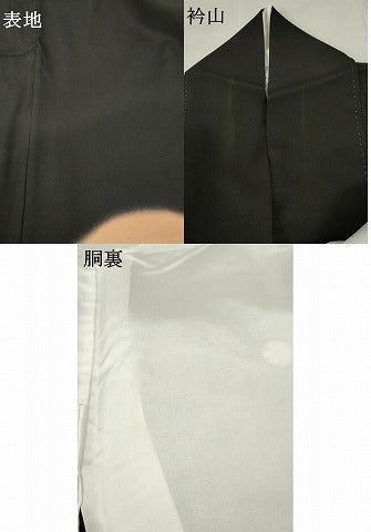 平和屋着物■豪華黒留袖 作家物 風景文 金彩 正絹 逸品 AAAP1918ma