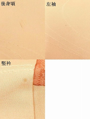 平和屋着物■羽織 地紋起こし 舞花文 正絹 逸品 AAAP2255fy