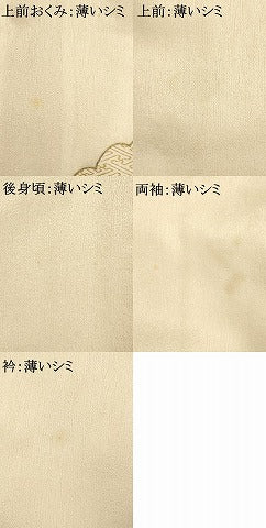 平和屋着物■訪問着 駒刺繍 菊 金彩 正絹 逸品 AAAQ1726fy