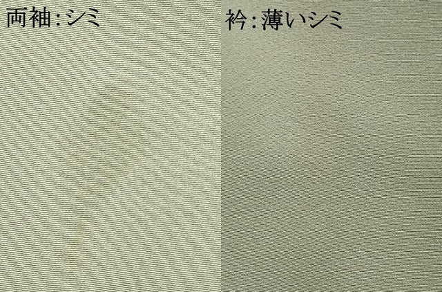平和屋着物■訪問着 風景文 正絹 逸品 AAAR7548fy