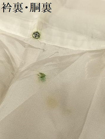 平和屋着物●上質な紬 舞花文 正絹 逸品 AAAU8336zg