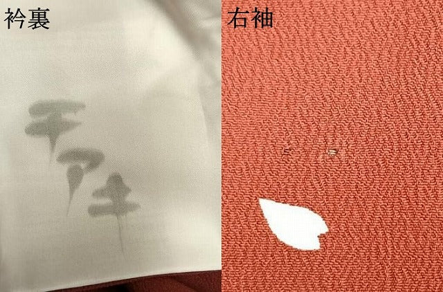 平和屋着物▽小紋 単衣 舞桜文 洗える着物 AAAU8646fy
