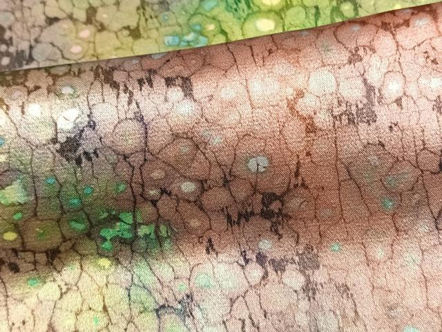 平和屋着物▽上質な小紋 単衣 霞文 正絹 逸品 AAAV2866fy