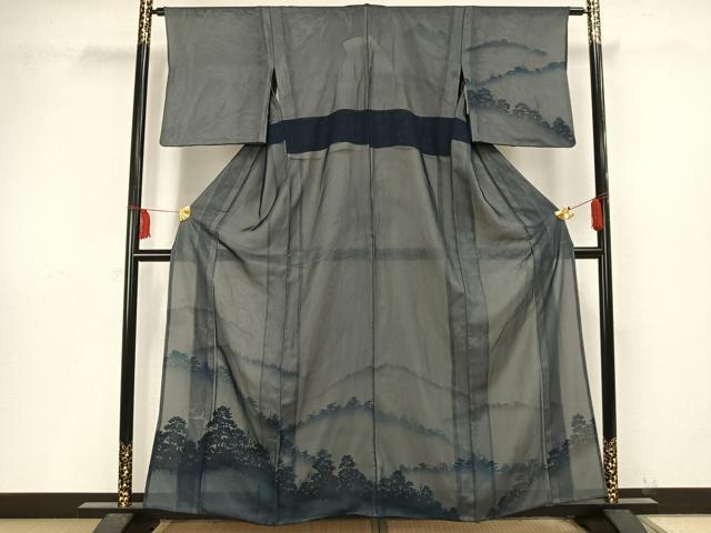 平和屋着物▽訪問着 無双 紗袷 紗×絽 風景舞鳥文 正絹 逸品 AAAV8400fy