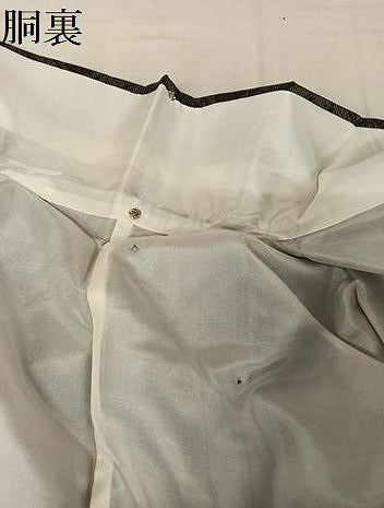平和屋着物●本場大島紬 鳳凰花菱文 正絹 逸品 未使用 AAAW4049np
