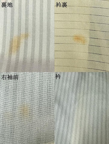平和屋着物▽訪問着 無双 紗袷 紗×紗 手描き 萩文 正絹 逸品 AAAW7852fy
