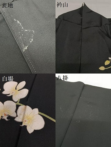 平和屋着物●訪問着 友禅 作家物 胡蝶蘭 黒地 正絹 逸品 AAAW9073zg