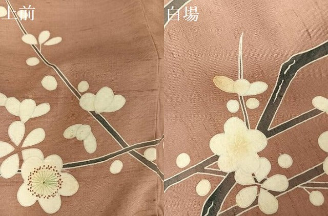 平和屋着物●訪問着 友禅 作家物 紬地 枝梅文 正絹 逸品 AAAX0003np