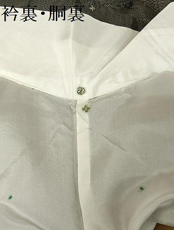 平和屋着物●本場大島紬 風景文 正絹 逸品 未使用 AAAX0284np