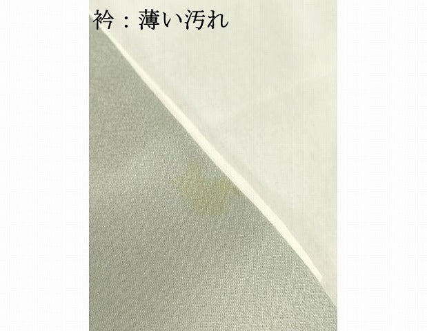 平和屋着物●訪問着 駒刺繍 露芝 暈し染め 金彩 正絹 逸品 AAAX2013ma
