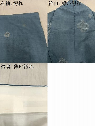 平和屋着物■上質な紬 亀甲文 正絹 逸品 AAAX9077ph