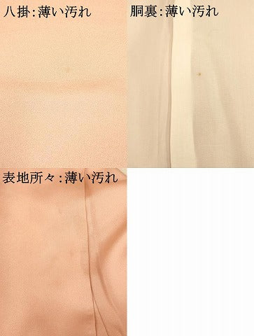 平和屋着物■豪華色留袖 手描き 飛鶴文 金銀彩 正絹 逸品 AAAY7181fw