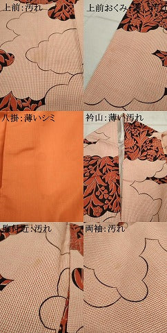 平和屋着物■上質な紬 雲重ね花文 正絹 逸品 AAAY9240cs