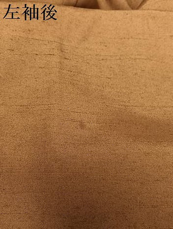 平和屋着物●上質な紬 訪問着 枝葉文 正絹 逸品 AAAZ0180zg