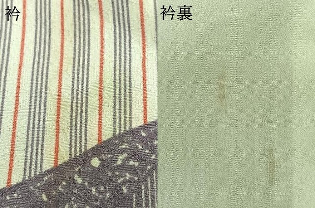 平和屋着物▽小紋 単衣 舞蝶文 洗える着物 AAAZ1636fy