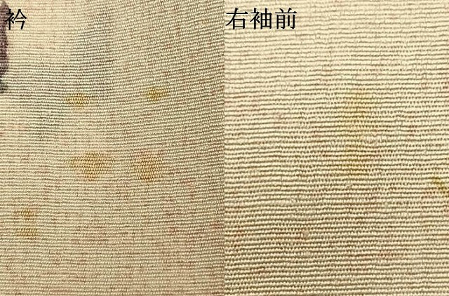 平和屋着物▽上質な小紋 単衣 紬地 舞蝶文 正絹 逸品 AAAZ1698fy