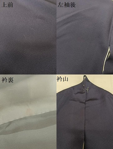 平和屋着物●訪問着 舞桜文 金彩 正絹 逸品 AAAZ7418zg