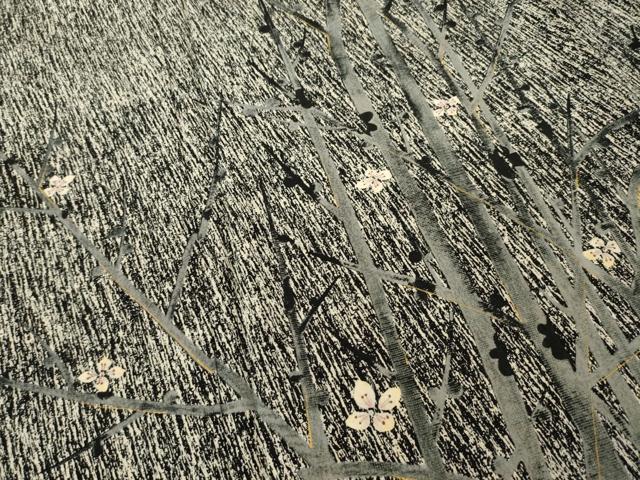 平和屋着物●訪問着 枝花文 黒地 金彩 正絹 逸品 AAAZ8108ck