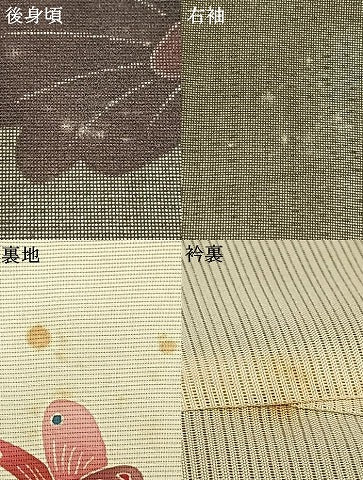 平和屋着物▽訪問着 無双 紗袷 紗×絽 舞蝶文 正絹 逸品 AAAZ9049fy